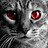 Adam_1
