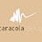 Caracola_Design