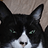 Carol_Ann