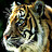 Hai_Phan2002