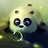 Innocent_Panda_d Innocent_Panda_d