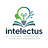 Intelectus_Solucoes