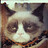 Jared_Taylor