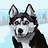 jesse_riley