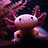Lucas_M54