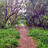 MohanaKrishnan_V