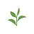 Morlivly_Wellness