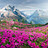 Naina_K