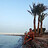 Nazar