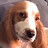 Oli_chou