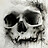 SkullRunner