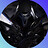 TheShadowTemplar