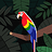 tylerdev