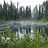 Xam
