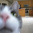 Zachary_Condon