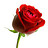 ZAHOOR_AHMED